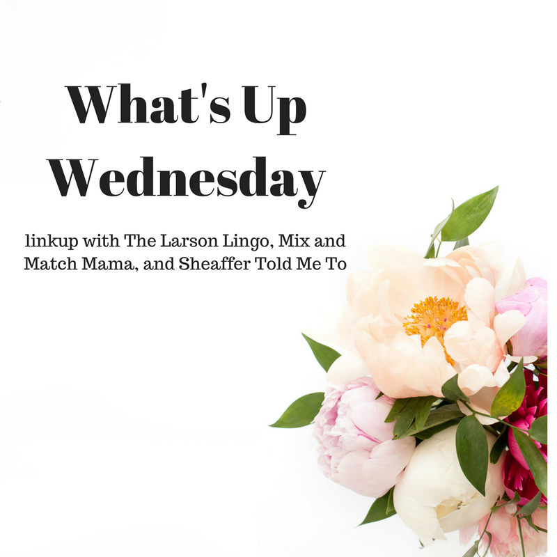 What’s Up Wednesday – November 2018